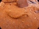 photo thumbnail #14