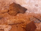 photo thumbnail #15