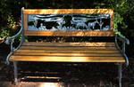 photo thumbnail #14