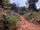photo thumbnail #4