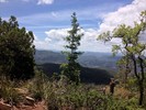 photo thumbnail #6