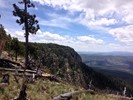 photo thumbnail #7