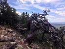photo thumbnail #9