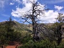 photo thumbnail #14