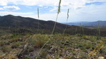 photo thumbnail #15