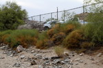 photo thumbnail #5