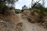 photo thumbnail #6