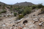photo thumbnail #11