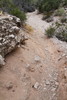 photo thumbnail #15