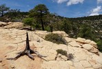 photo thumbnail #6