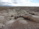 photo thumbnail #9