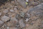 photo thumbnail #1