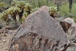 photo thumbnail #8