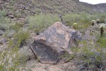 photo thumbnail #12