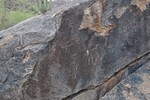 photo thumbnail #14