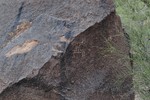 photo thumbnail #15