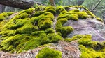 photo thumbnail #6