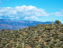 photo thumbnail #12