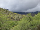 photo thumbnail #2