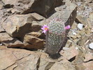 photo thumbnail #8