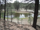 photo thumbnail #5