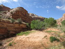 photo thumbnail #9