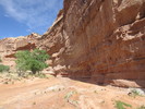 photo thumbnail #10