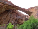 photo thumbnail #4