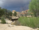 photo thumbnail #2