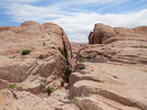 photo thumbnail #8