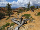 photo thumbnail #1