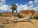 photo thumbnail #5
