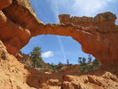 photo thumbnail #3