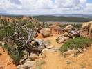 photo thumbnail #8