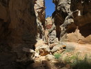 photo thumbnail #2