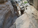 photo thumbnail #8