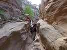 photo thumbnail #9