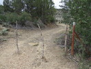 photo thumbnail #1