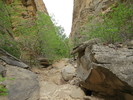 photo thumbnail #7