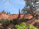 photo thumbnail #2