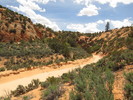 photo thumbnail #3