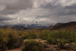 photo thumbnail #3
