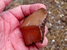 photo thumbnail #13