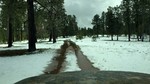 photo thumbnail #2