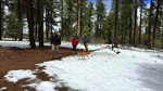 photo thumbnail #4