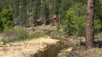 photo thumbnail #10
