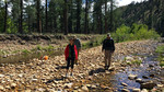 photo thumbnail #11