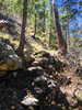 photo thumbnail #10