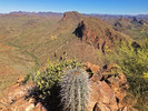photo thumbnail #6