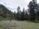photo thumbnail #3